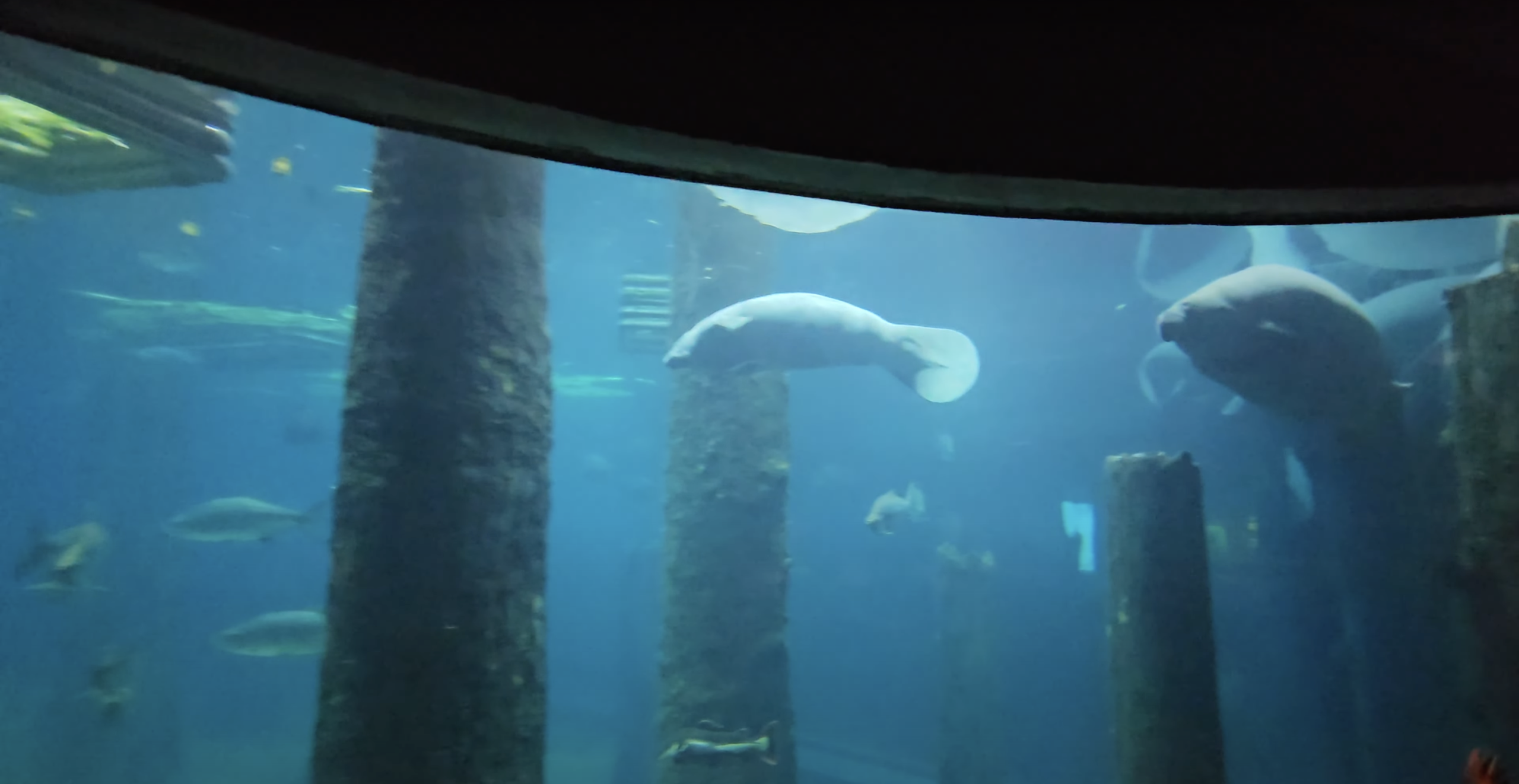 River Wonders – A Splash of Nature and a Whole Lot of Awe