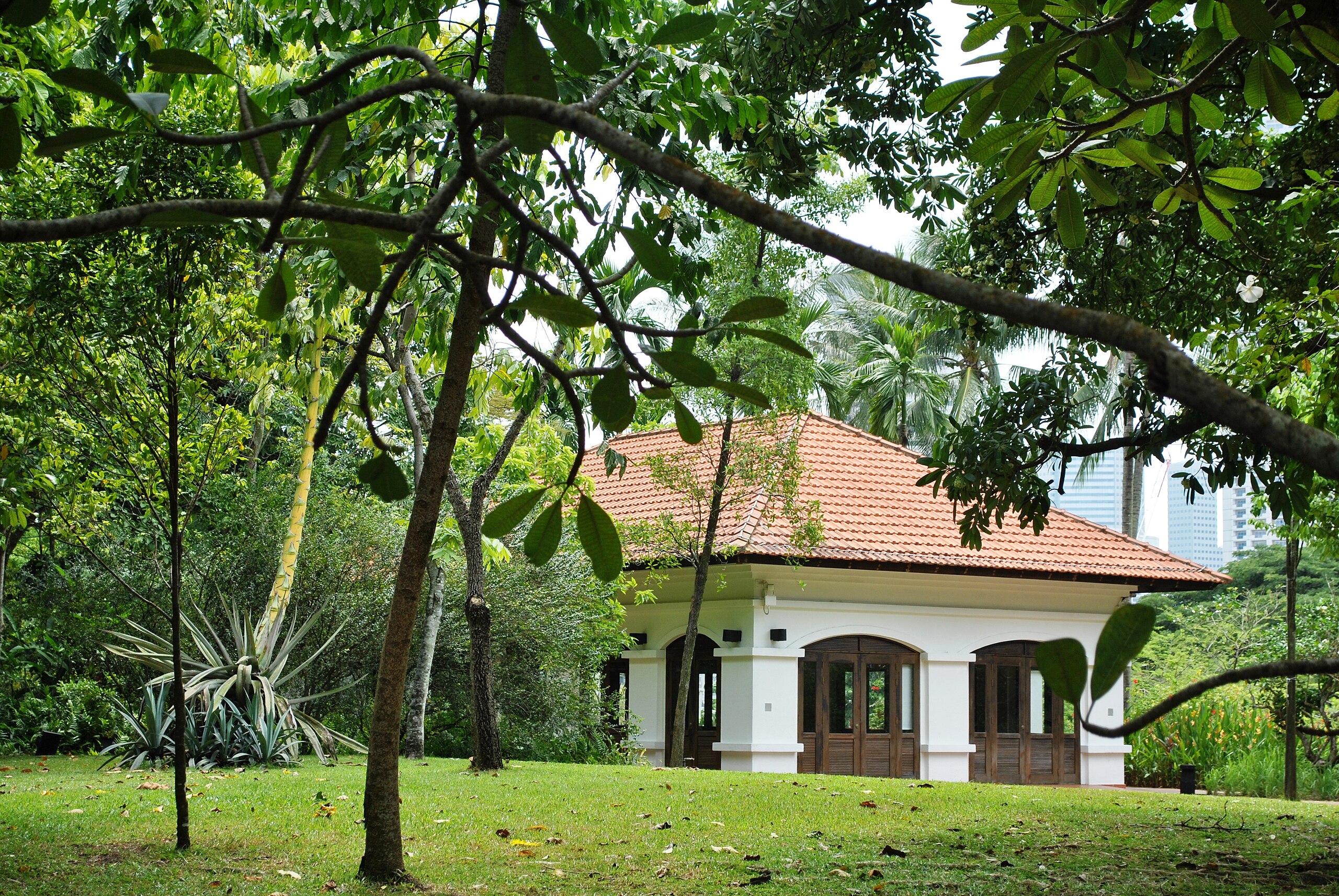 Fort Canning Park: The Hill Where Singapore’s Past Still Whispers