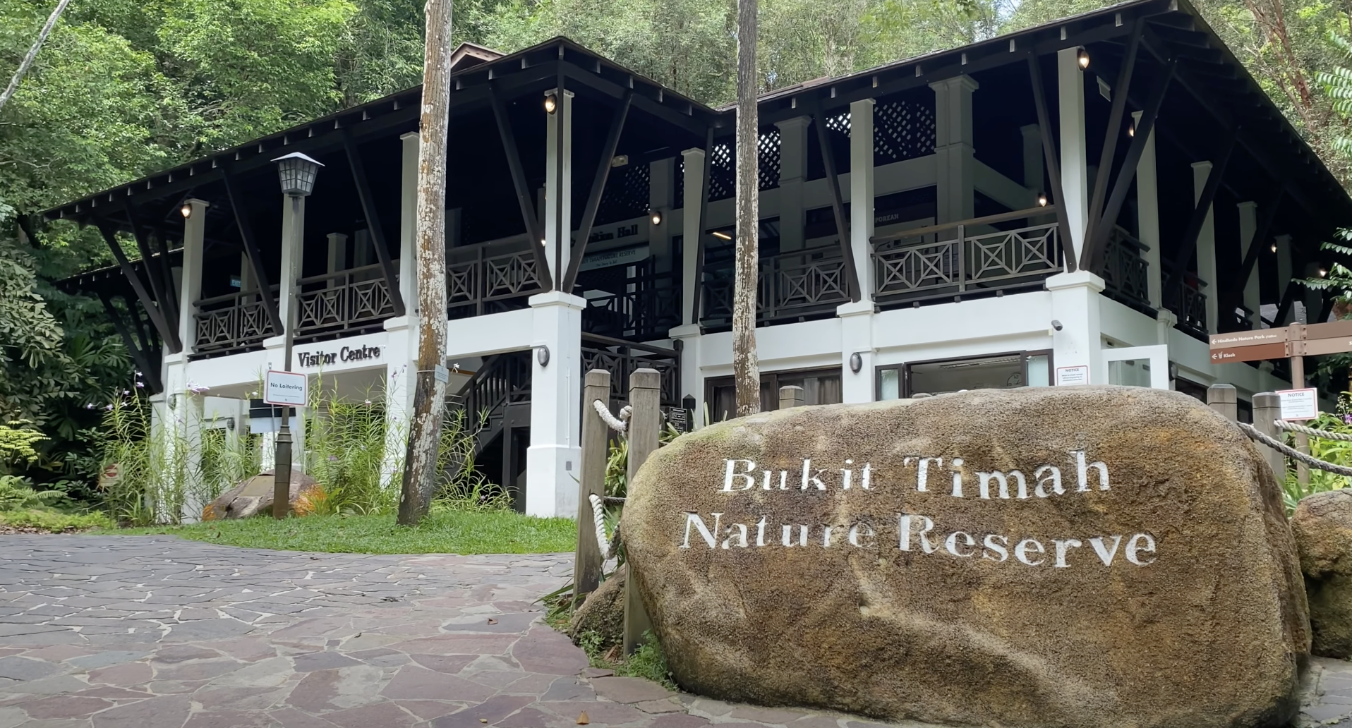 ⛰️ Bukit Timah Nature Reserve – Singapore’s Wildest Climb, Just Minutes from the City