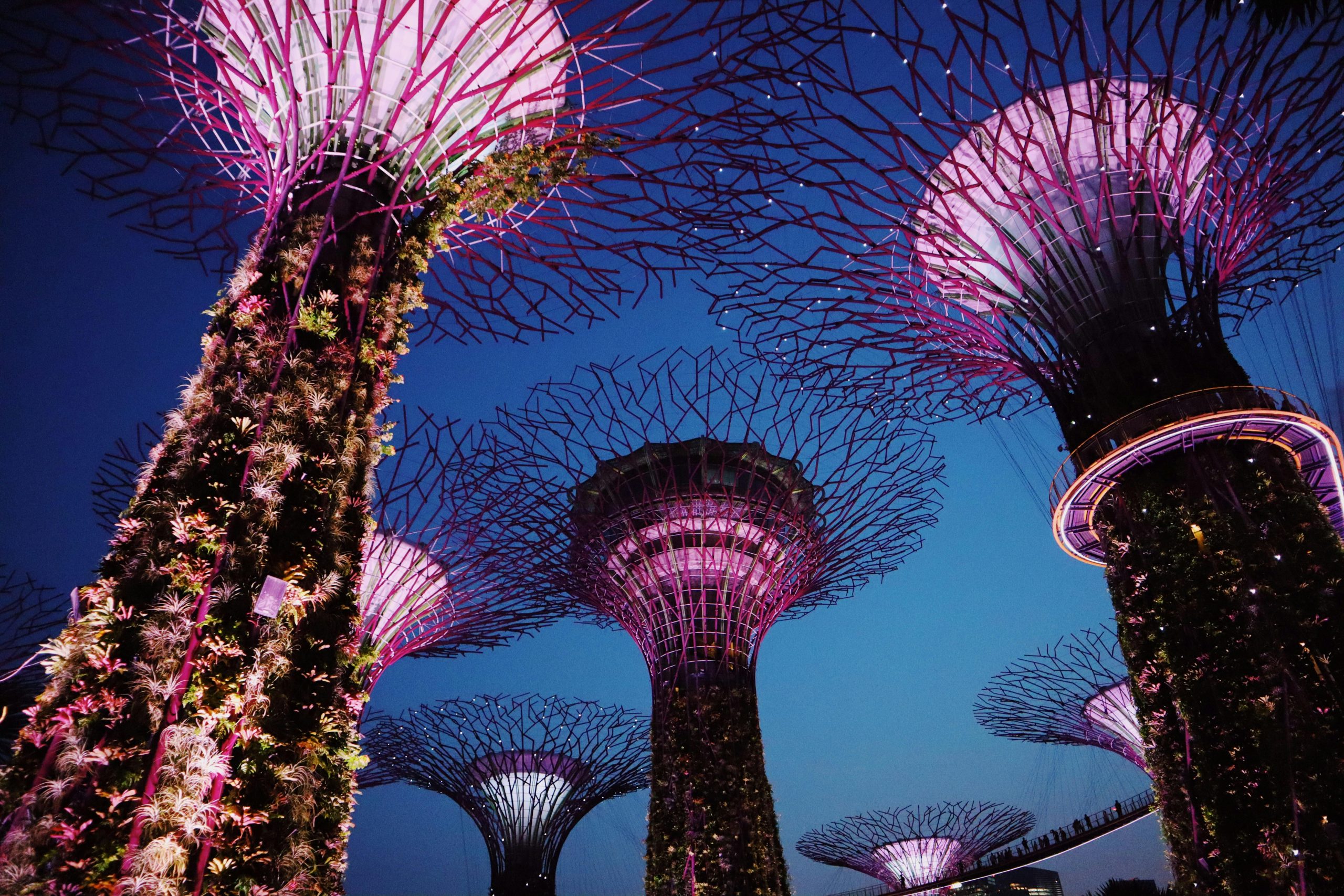 🌸 Gardens by the Bay: Singapore’s Dreamscape of Nature and Light