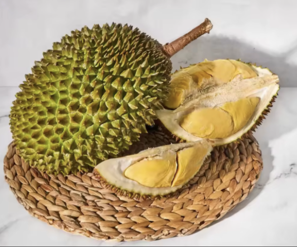 Odour-proof food container