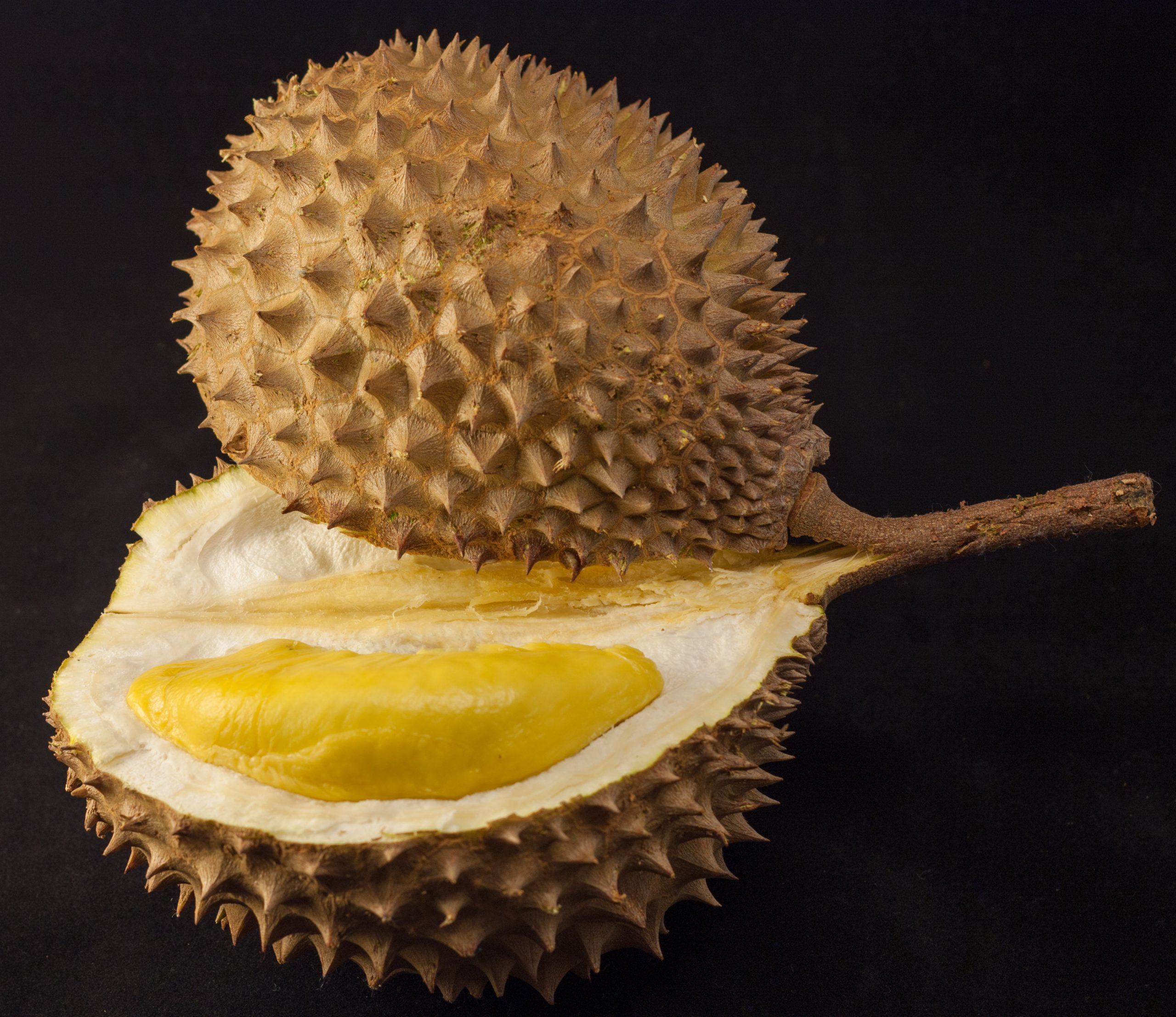 The Durian Experience: Love It, Fear It, or Learn to Master It