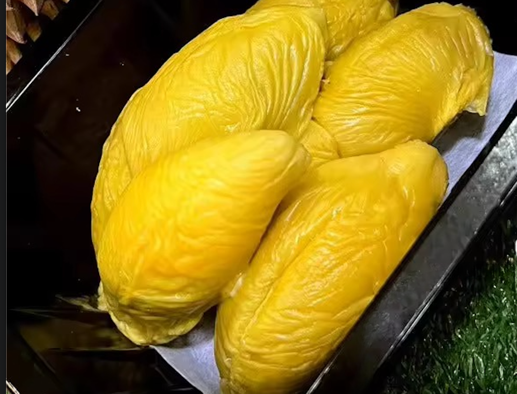 Odour-proof food container