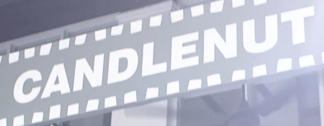 Candlenut