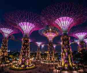 Supertree Grove